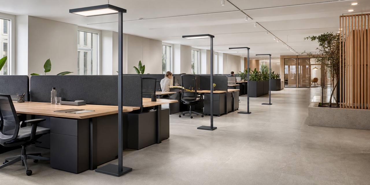Office floor lamps lighting shared workstations